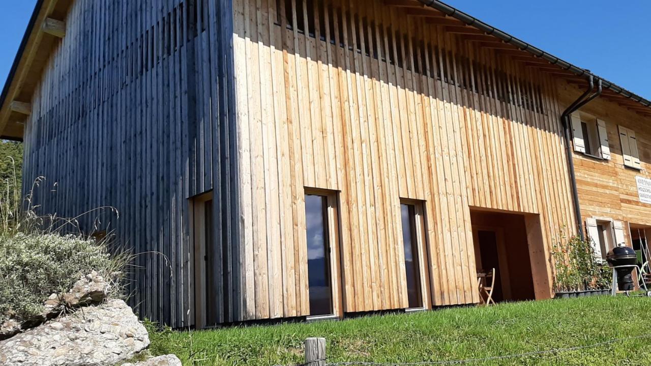 Ferienwohnung Schoenenbuehl Hittisau Eksteriør bilde