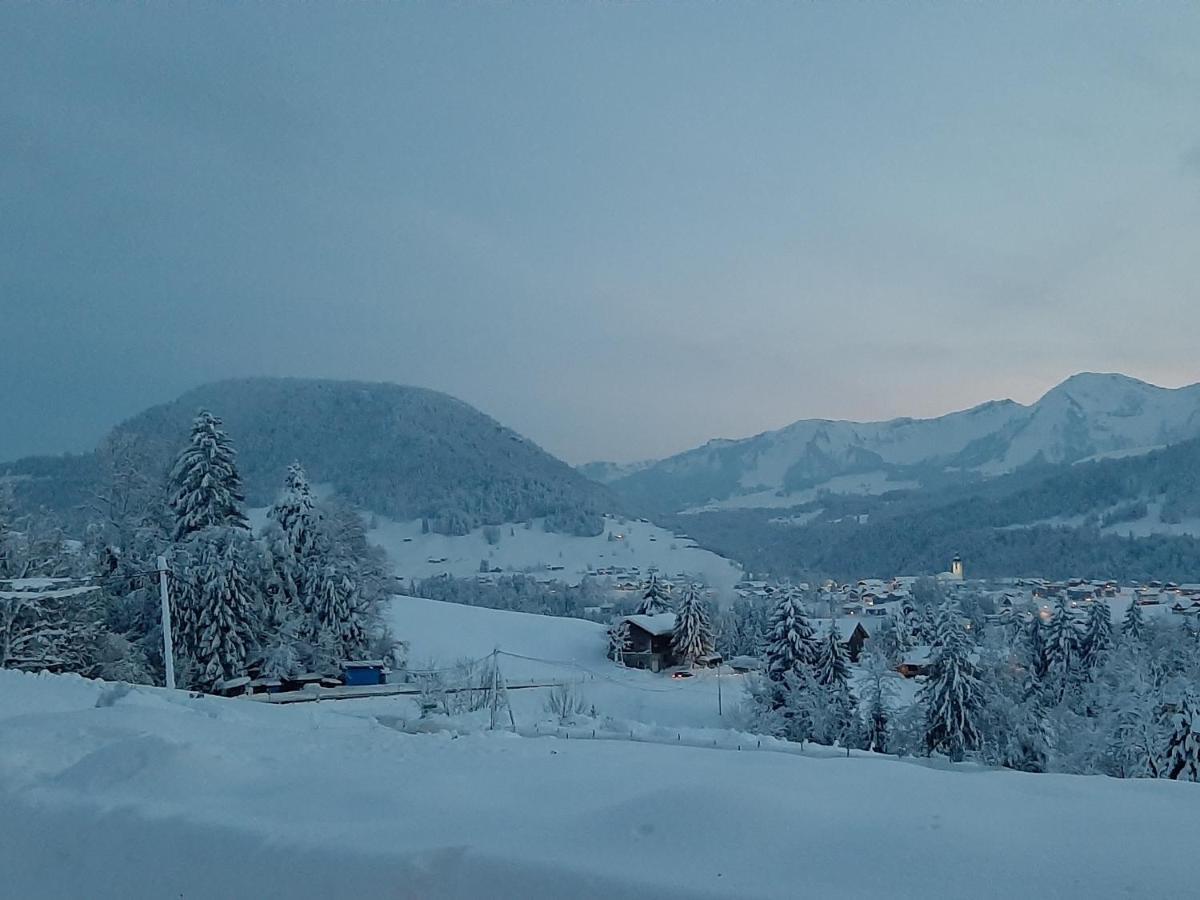 Ferienwohnung Schoenenbuehl Hittisau Eksteriør bilde
