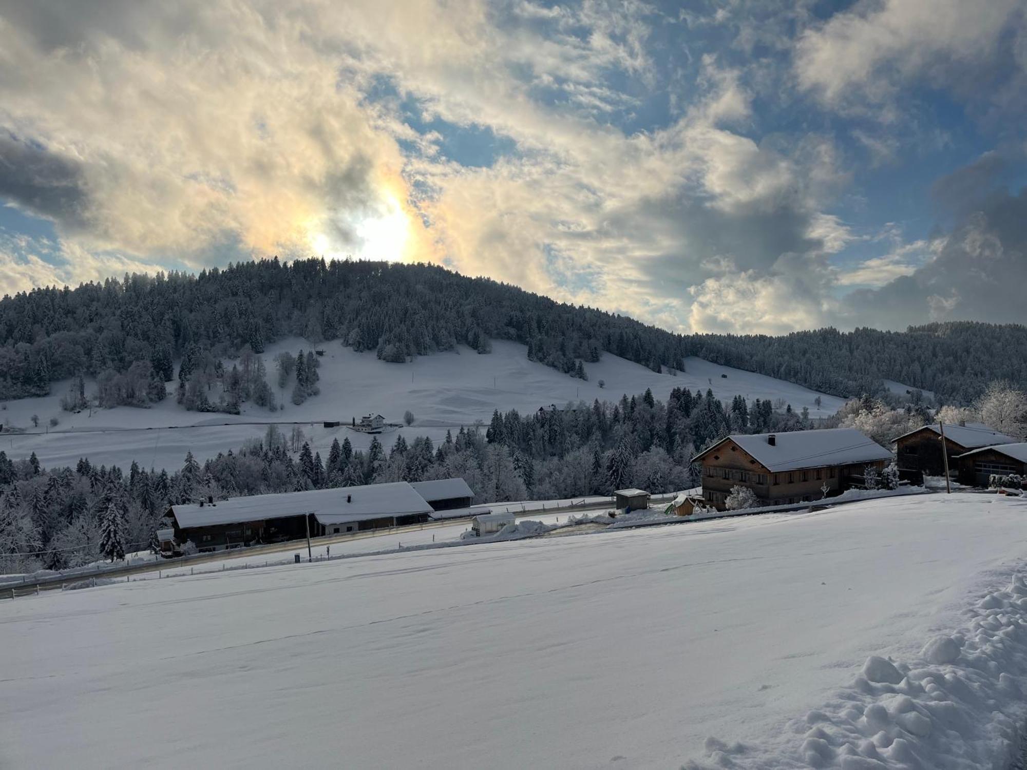 Ferienwohnung Schoenenbuehl Hittisau Eksteriør bilde